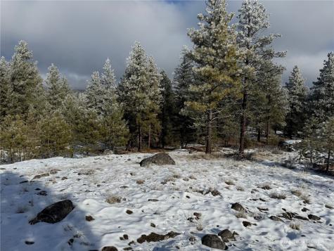 0 Tbd Cartwright Drive Tonasket WA 98855