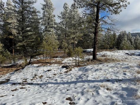0 Tbd Cartwright Drive Tonasket WA 98855