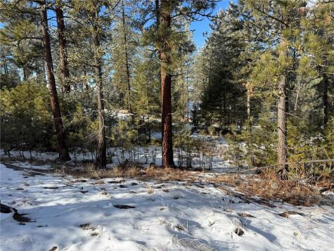 0 Tbd Cartwright Drive Tonasket WA 98855