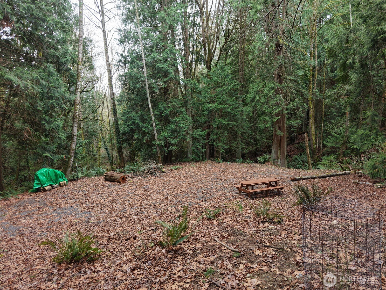 11408 62nd Avenue NW Tulalip WA 98271