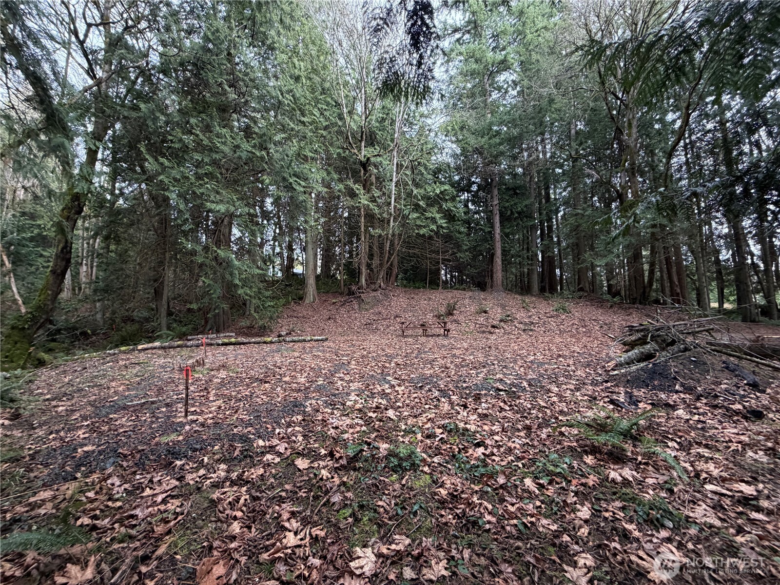 11408 62nd Avenue NW Tulalip WA 98271