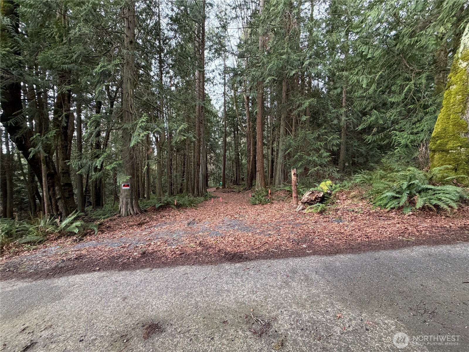 11408 62nd Avenue NW Tulalip WA 98271