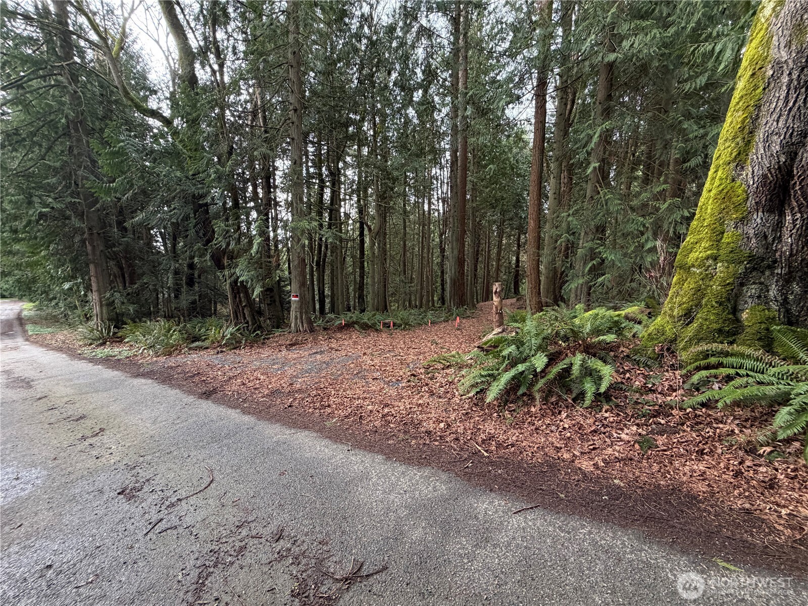 11408 62nd Avenue NW Tulalip WA 98271