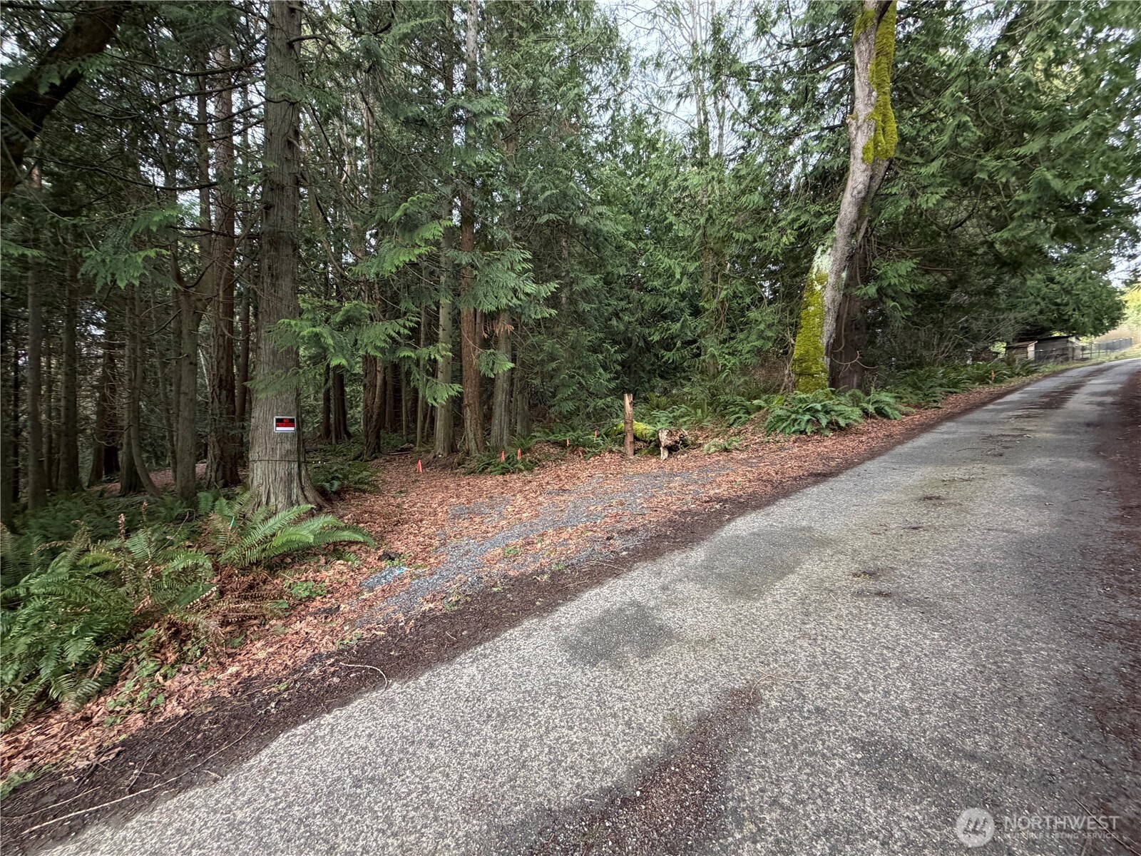 11408 62nd Avenue NW Tulalip WA 98271