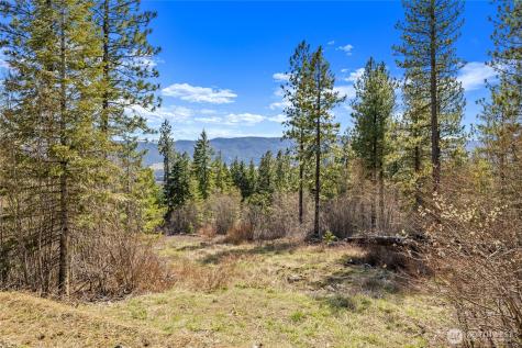 6 Forest Ridge (Lot 6) Drive Cle Elum WA 98922