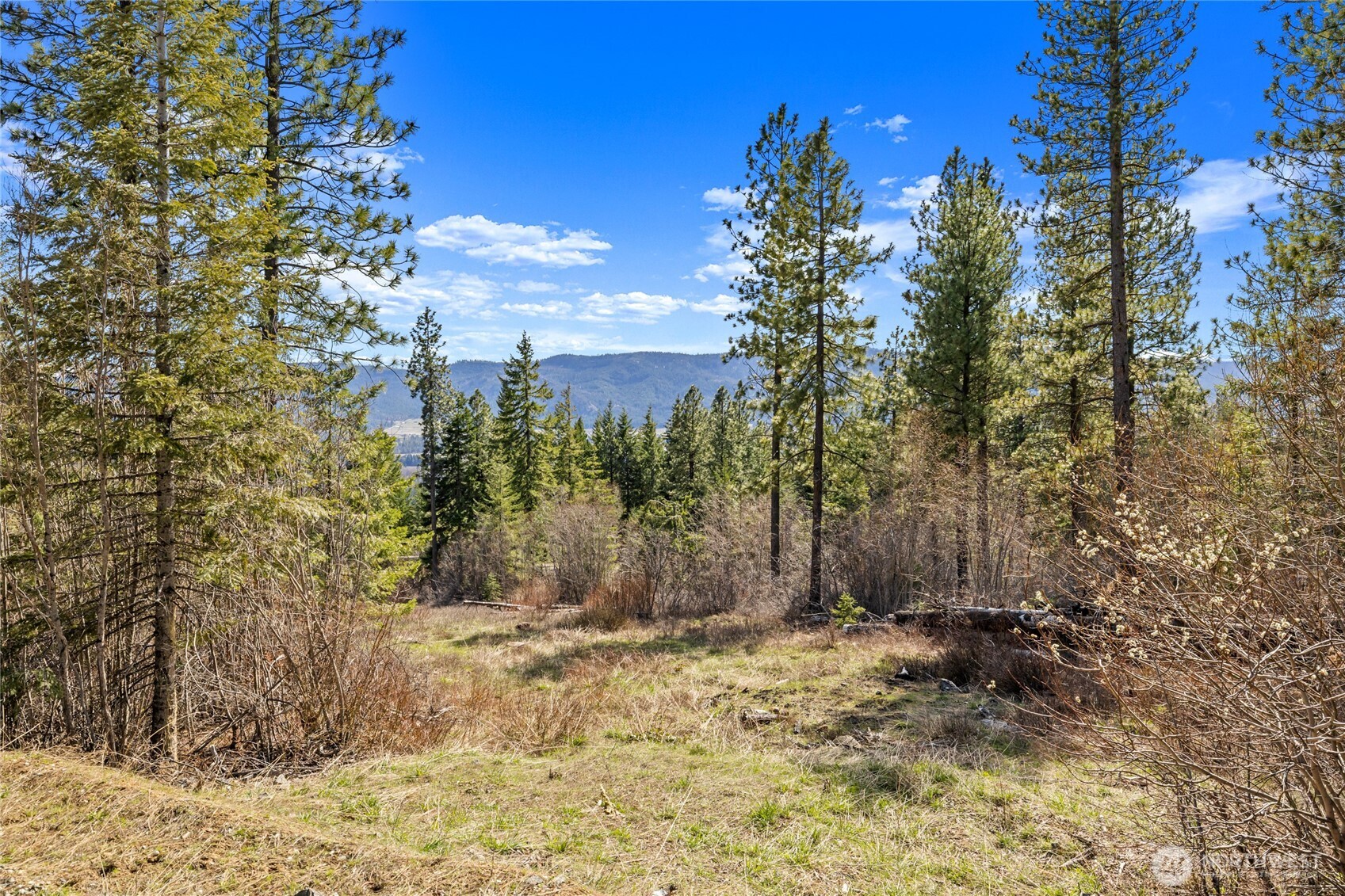 6 Forest Ridge (Lot 6) Drive Cle Elum WA 98922