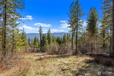 6 Forest Ridge (Lot 6) Drive Cle Elum WA 98922