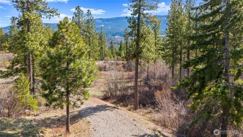 6 Forest Ridge (Lot 6) Drive Cle Elum WA 98922