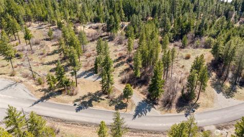6 Forest Ridge (Lot 6) Drive Cle Elum WA 98922