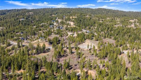 6 Forest Ridge (Lot 6) Drive Cle Elum WA 98922