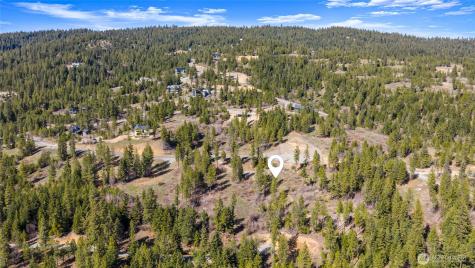 6 Forest Ridge (Lot 6) Drive Cle Elum WA 98922