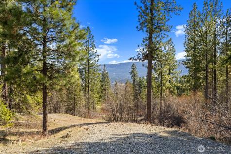 6 Forest Ridge (Lot 6) Drive Cle Elum WA 98922