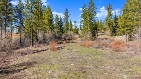 6 Forest Ridge (Lot 6) Drive Cle Elum WA 98922