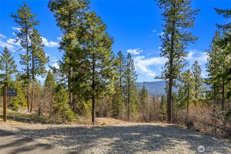 6 Forest Ridge (Lot 6) Drive Cle Elum WA 98922