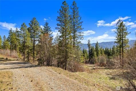 6 Forest Ridge (Lot 6) Drive Cle Elum WA 98922