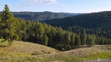 24 Greer Road Oroville WA 98859