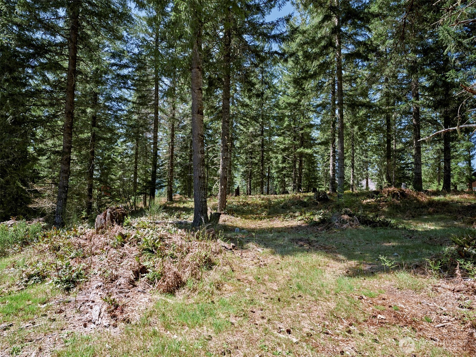 1 Loowit Lane Cougar WA 98616