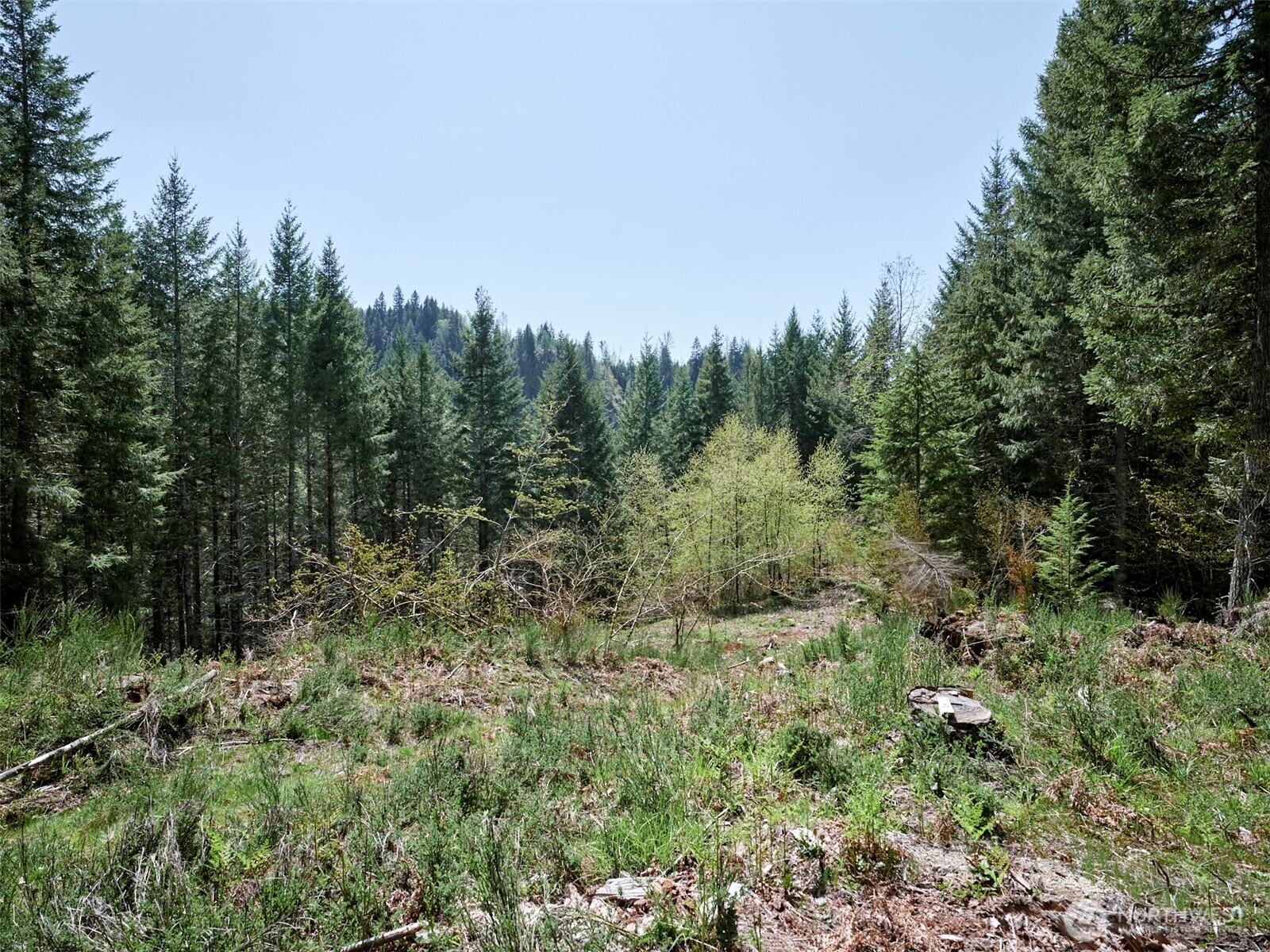 1 Loowit Lane Cougar WA 98616