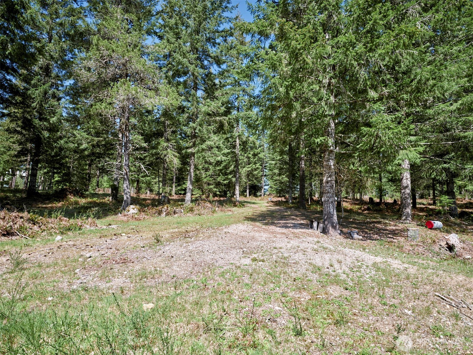 1 Loowit Lane Cougar WA 98616