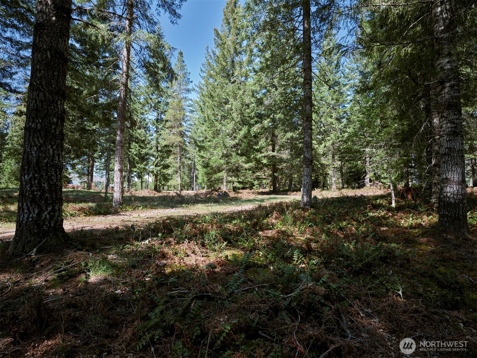 1 Loowit Lane Cougar WA 98616