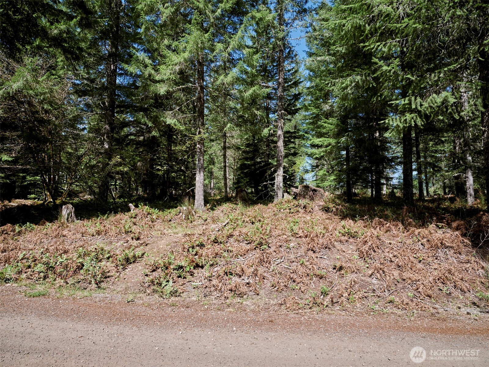 1 Loowit Lane Cougar WA 98616