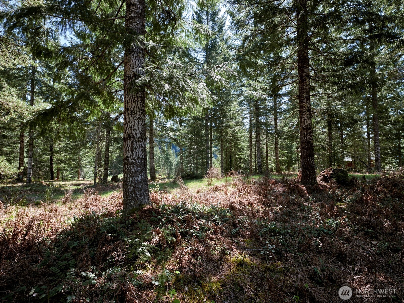 1 Loowit Lane Cougar WA 98616
