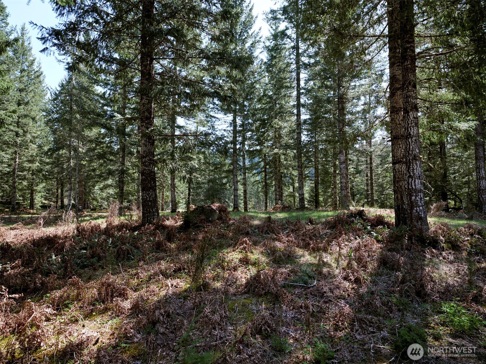 1 Loowit Lane Cougar WA 98616