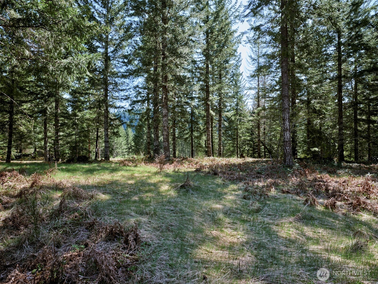 1 Loowit Lane Cougar WA 98616