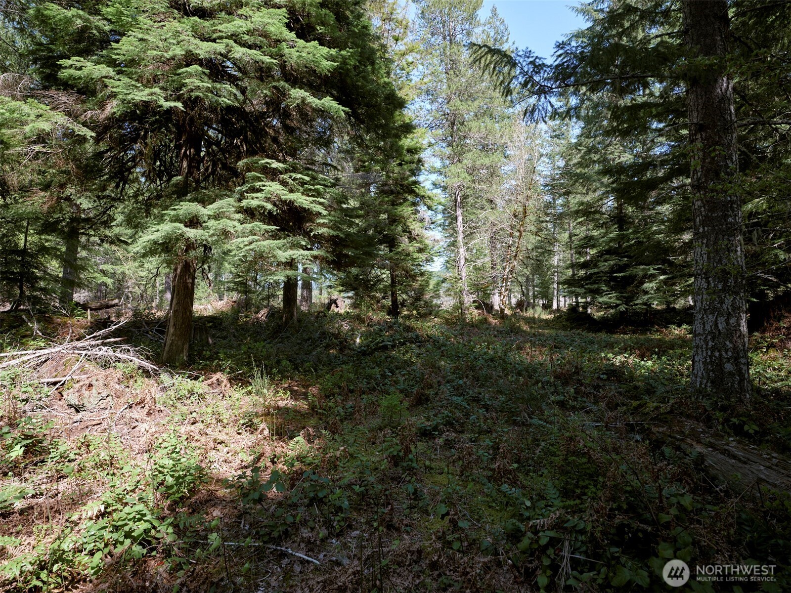 1 Loowit Lane Cougar WA 98616