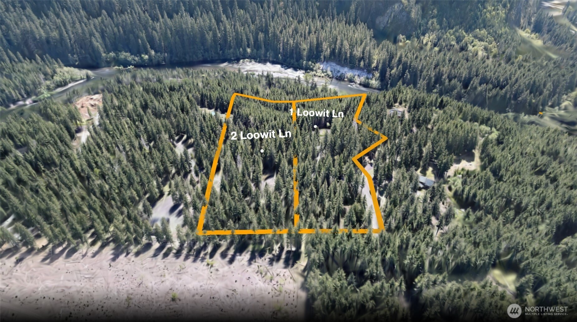 1 Loowit Lane Cougar WA 98616