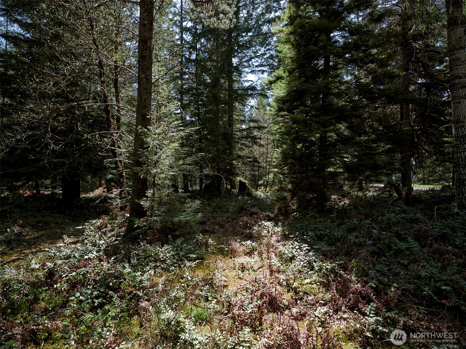 1 Loowit Lane Cougar WA 98616