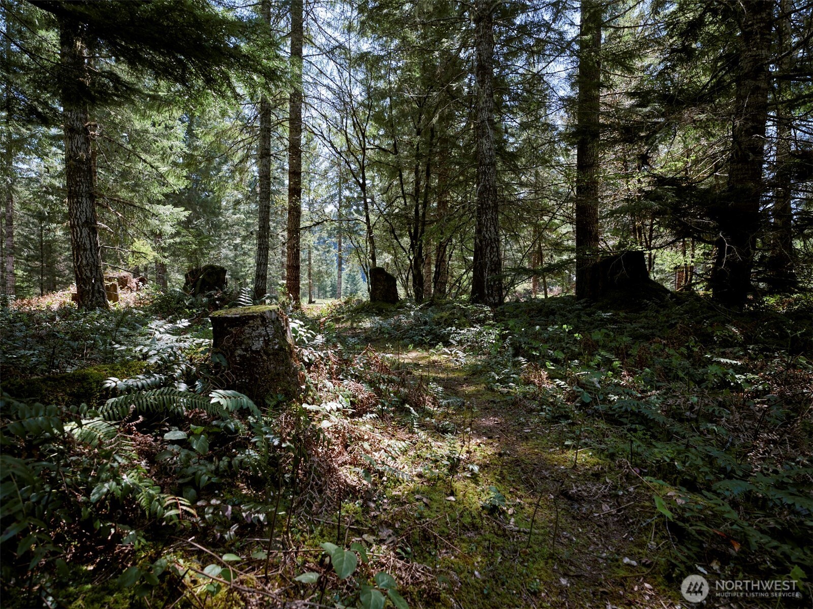 1 Loowit Lane Cougar WA 98616