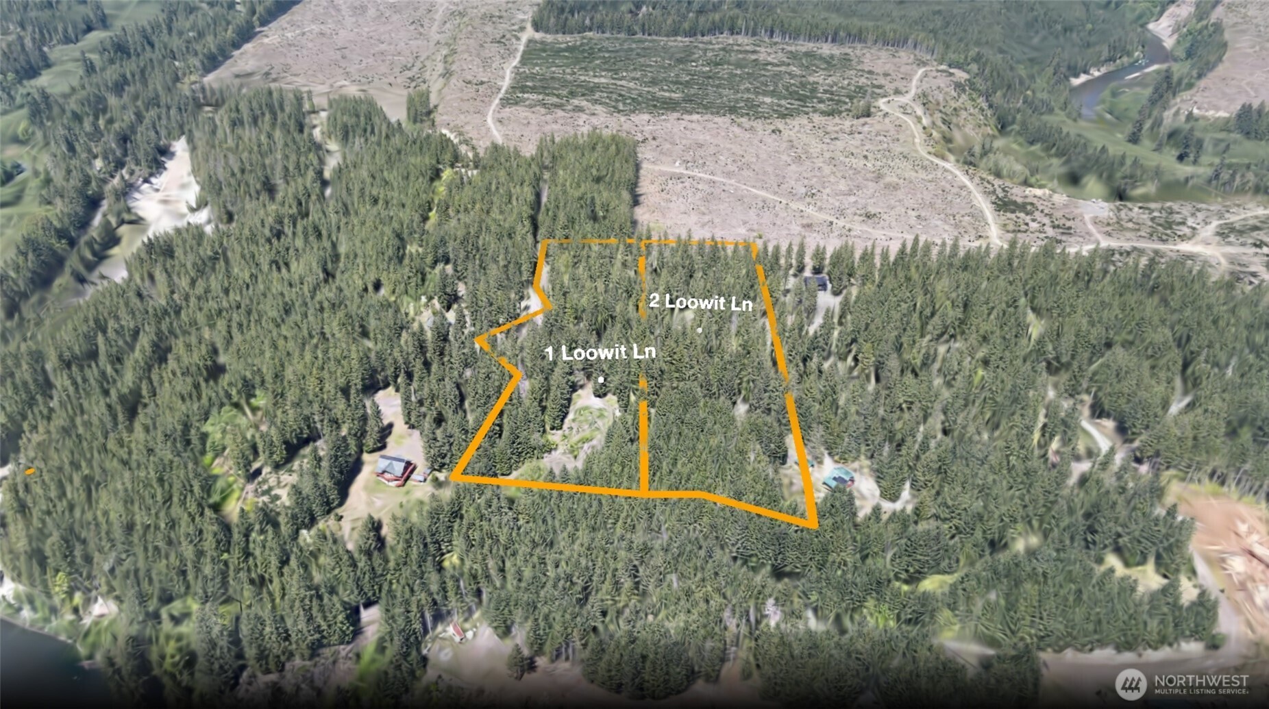 1 Loowit Lane Cougar WA 98616