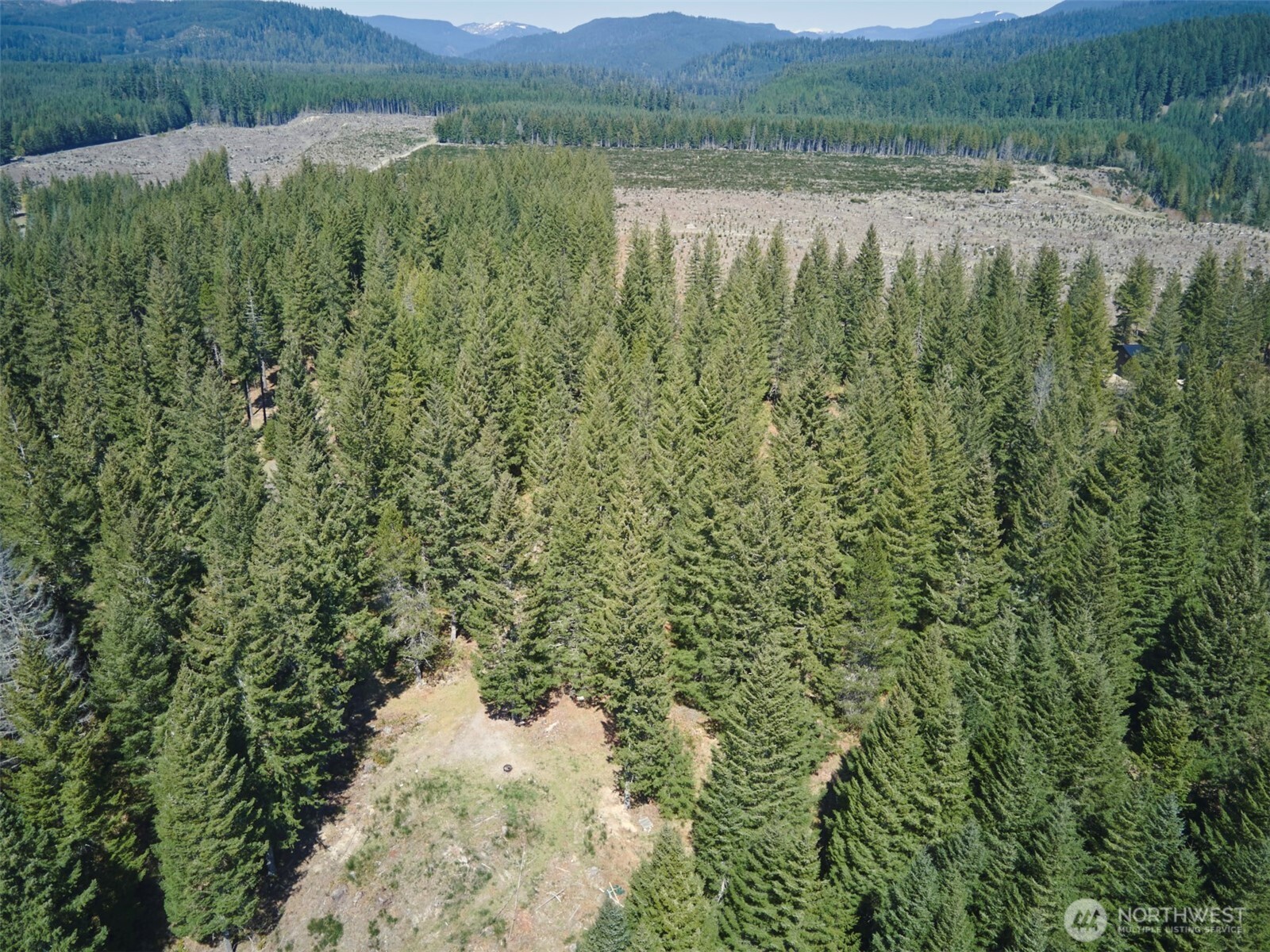 1 Loowit Lane Cougar WA 98616