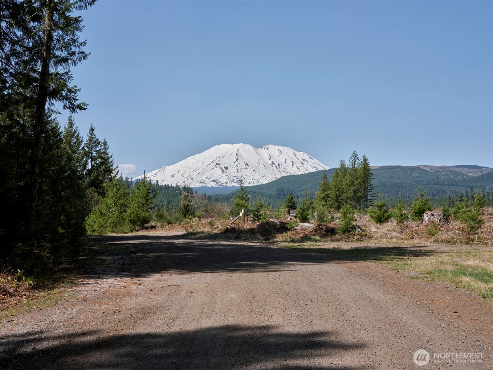 1 Loowit Lane Cougar WA 98616