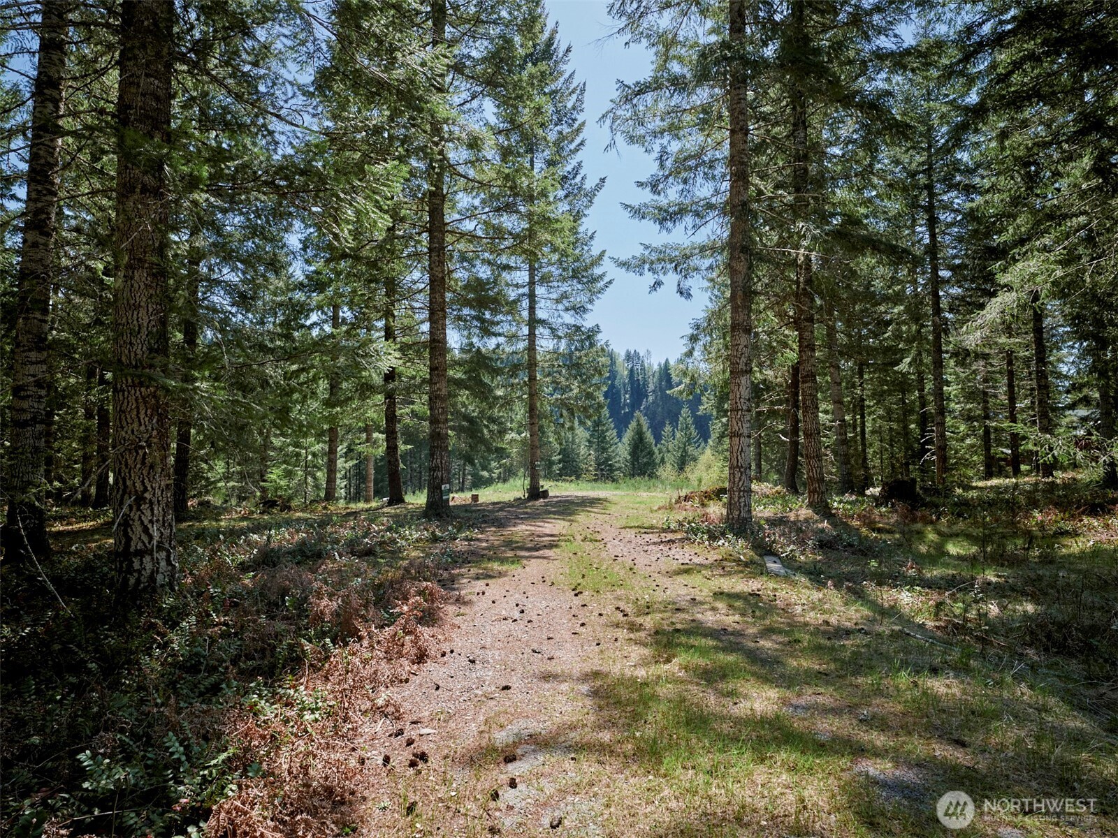 1 Loowit Lane Cougar WA 98616