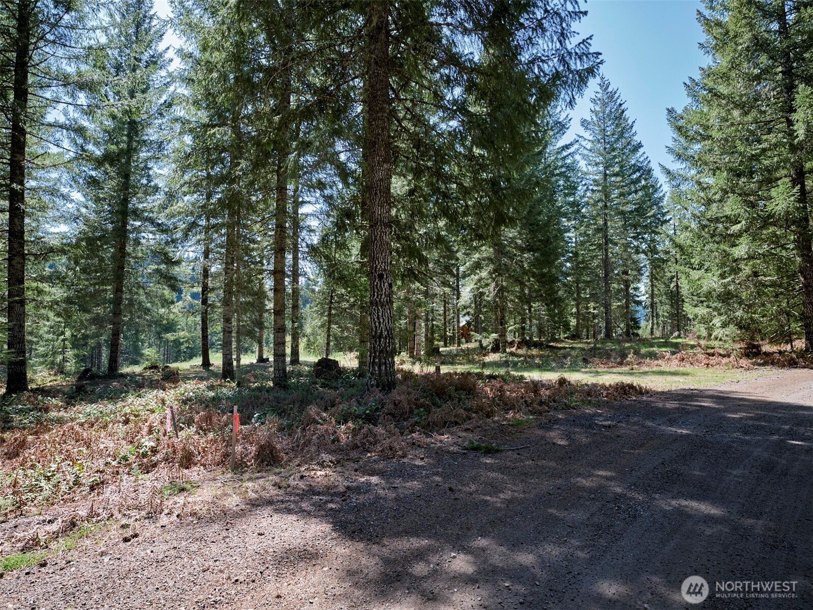 1 Loowit Lane Cougar WA 98616