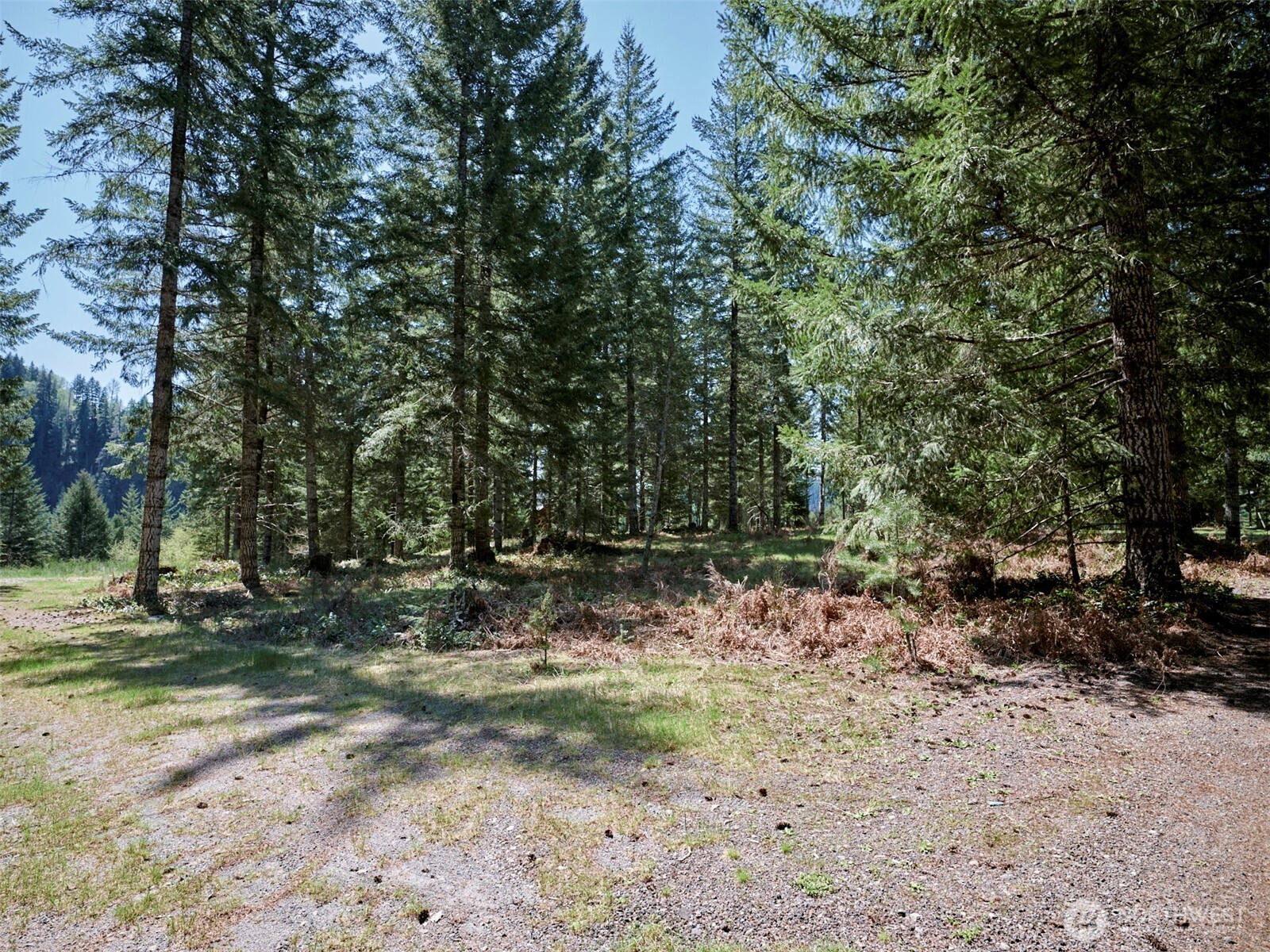 1 Loowit Lane Cougar WA 98616