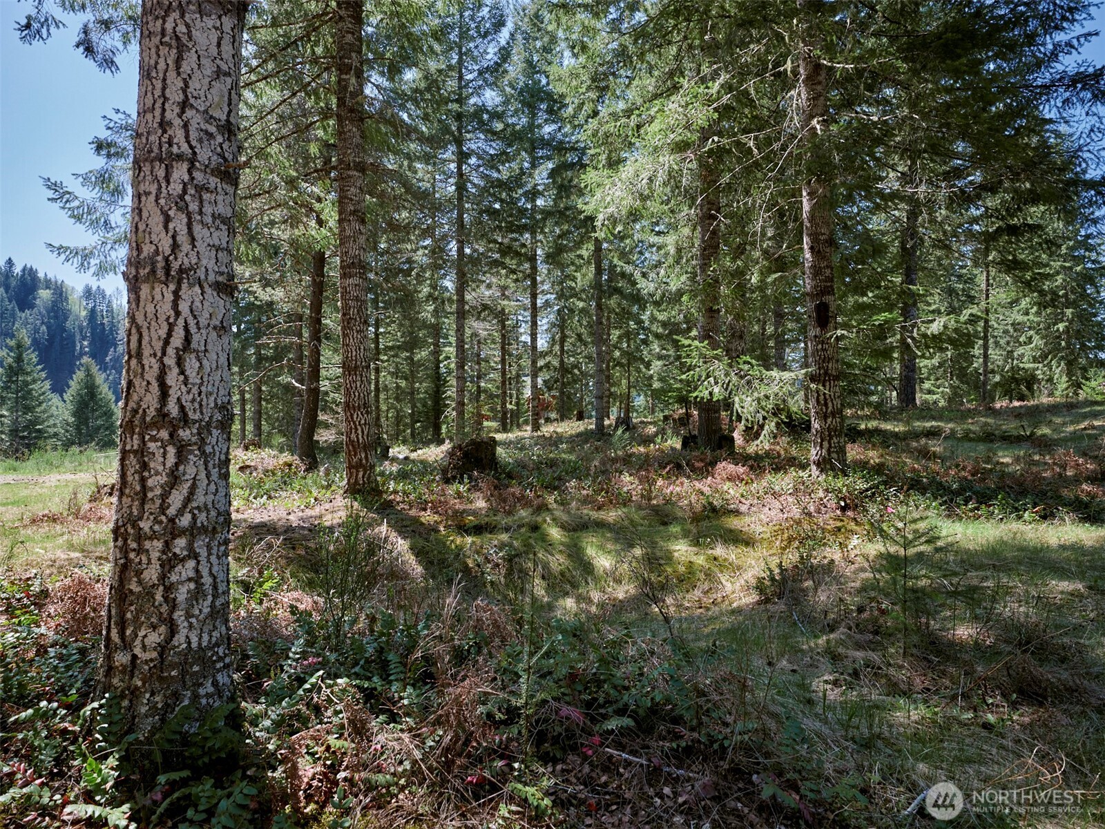 1 Loowit Lane Cougar WA 98616