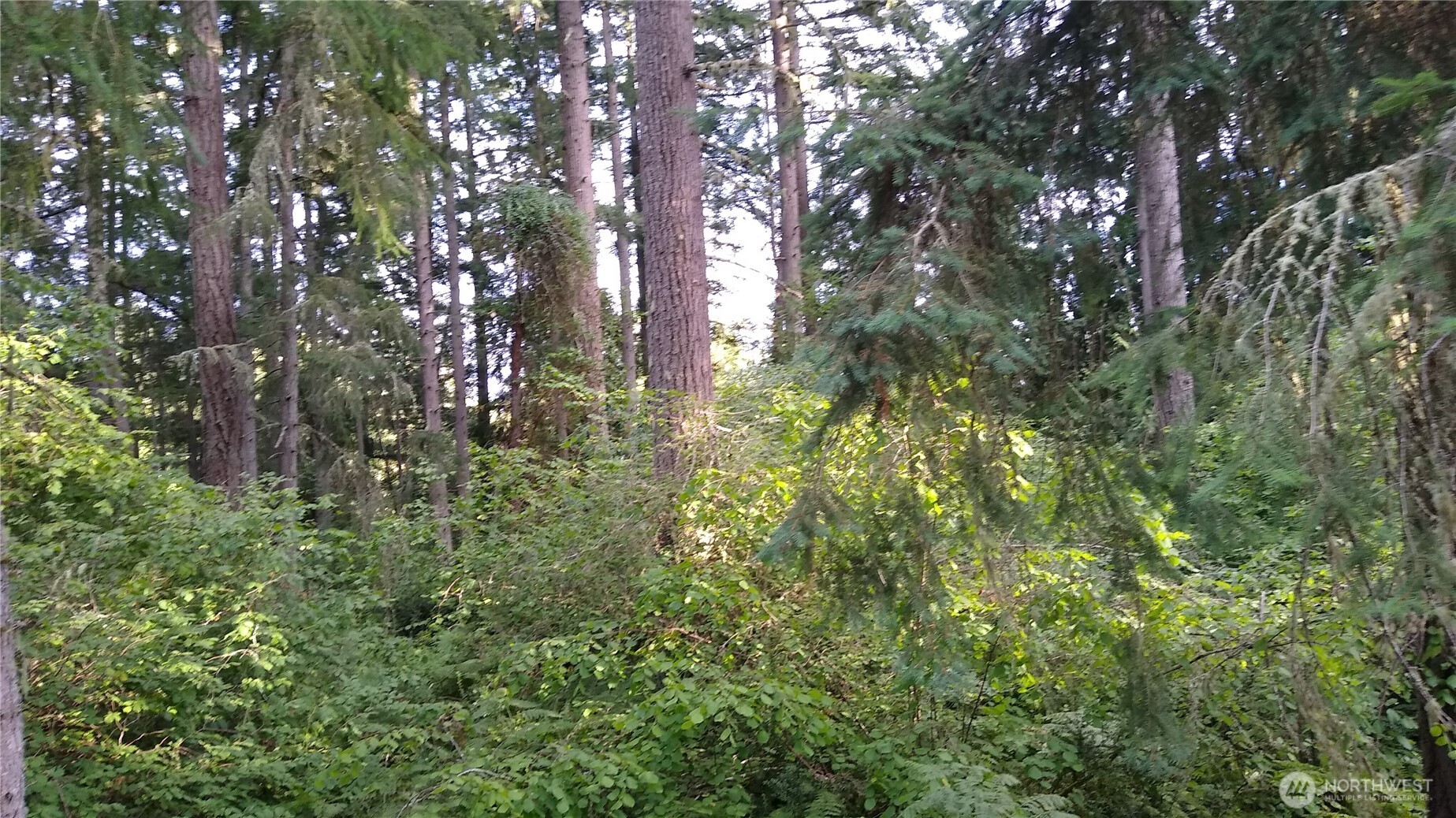 12106 Sound Drive Anderson Island WA 98303
