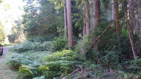 12106 Sound Drive Anderson Island WA 98303