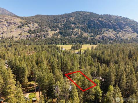 3 Mazama Bridge Road Mazama WA 98833