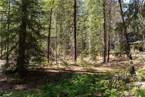 3 Mazama Bridge Road Mazama WA 98833