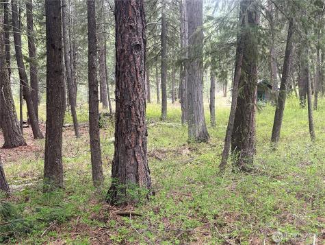 3 Mazama Bridge Road Mazama WA 98833