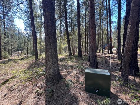 3 Mazama Bridge Road Mazama WA 98833