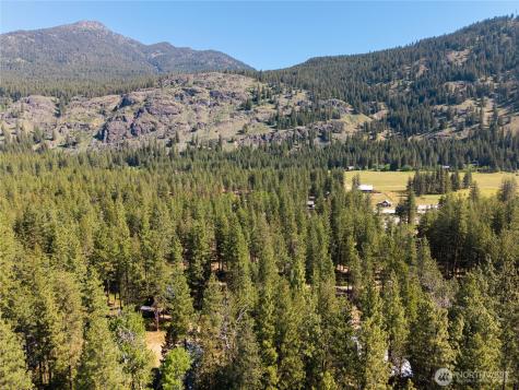 3 Mazama Bridge Road Mazama WA 98833
