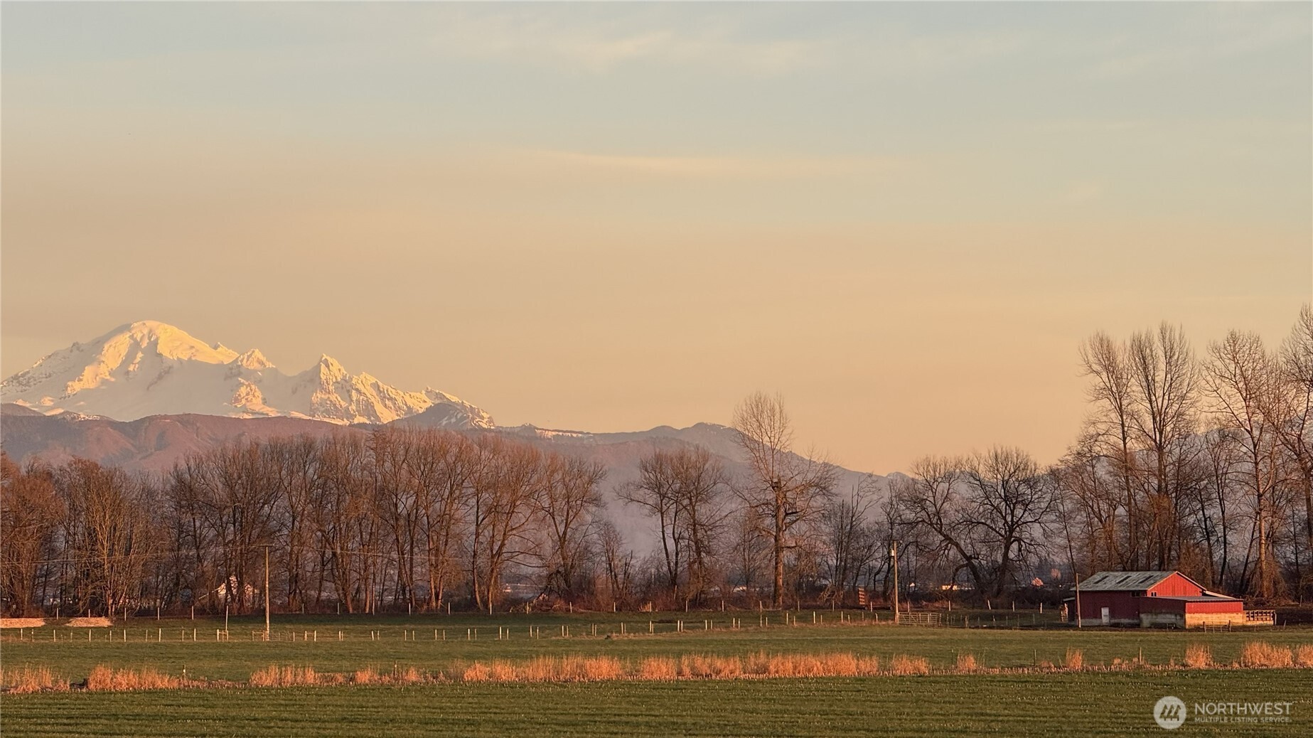 1701 Farmview Terrace Lynden WA 98264