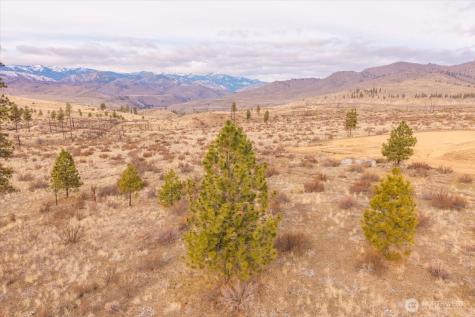 817 Bill Shaw Road Methow WA 98834