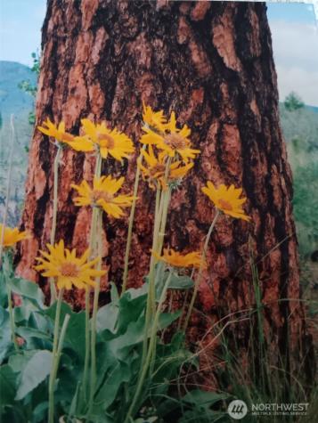 817 Bill Shaw Road Methow WA 98834