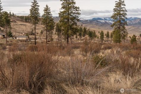 817 Bill Shaw Road Methow WA 98834